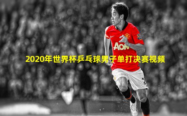 2020年世界杯乒乓球男子单打决赛视频