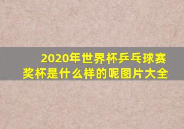 2020年世界杯乒乓球赛奖杯是什么样的呢图片大全