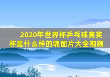 2020年世界杯乒乓球赛奖杯是什么样的呢图片大全视频