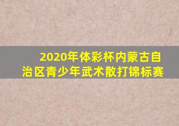 2020年体彩杯内蒙古自治区青少年武术散打锦标赛