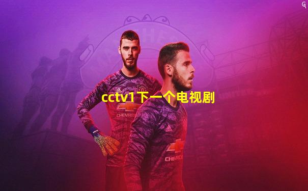 cctv1下一个电视剧