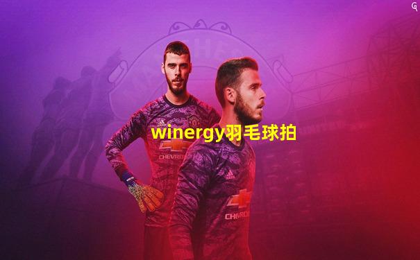 winergy羽毛球拍