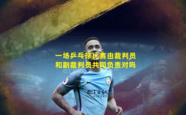 一场乒乓球比赛由裁判员和副裁判员共同负责对吗