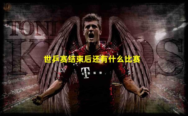 世乒赛结束后还有什么比赛