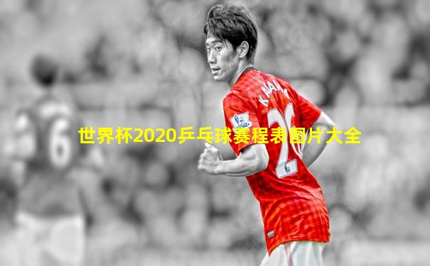 世界杯2020乒乓球赛程表图片大全