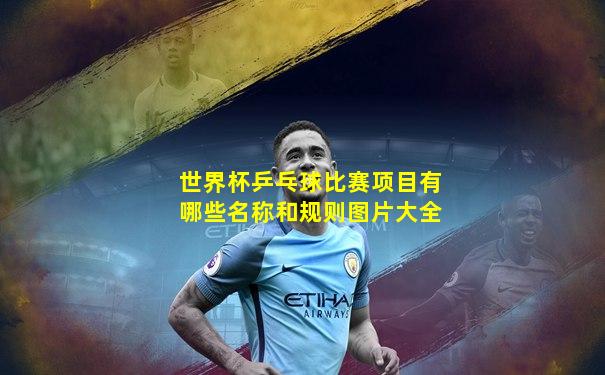 世界杯乒乓球比赛项目有哪些名称和规则图片大全