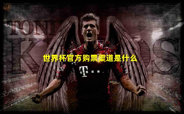 世界杯官方购票渠道是什么