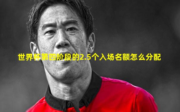 世界杯第四阶段的2.5个入场名额怎么分配