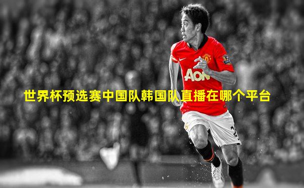 世界杯预选赛中国队韩国队直播在哪个平台