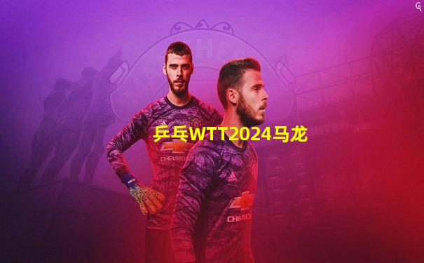 乒乓WTT2024马龙