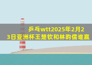 乒乓wtt2025年2月23日亚洲杯王楚钦和林昀儒谁赢