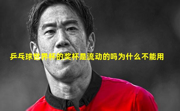 乒乓球世界杯的奖杯是流动的吗为什么不能用