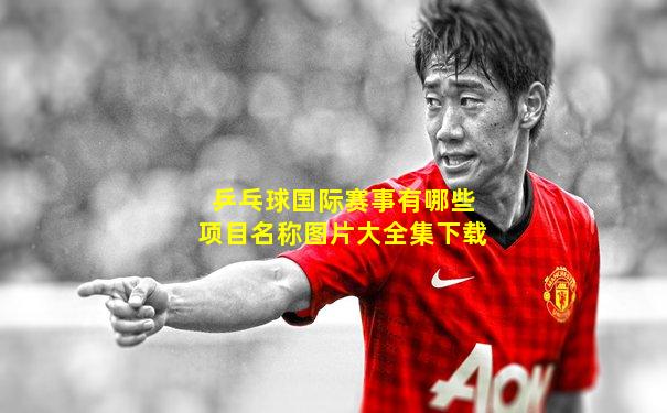 乒乓球国际赛事有哪些项目名称图片大全集下载