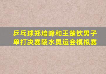 乒乓球郑培峰和王楚钦男子单打决赛陵水奥运会模拟赛