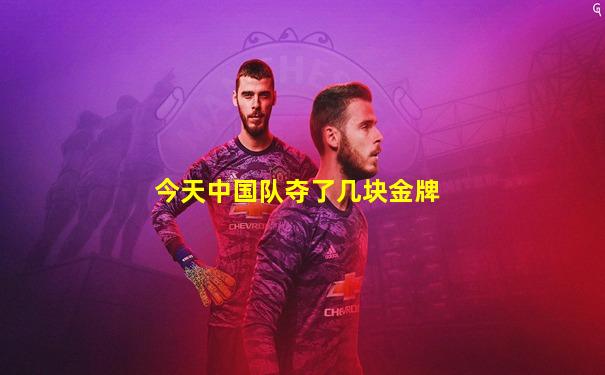 今天中国队夺了几块金牌