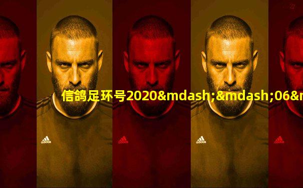 信鸽足环号2020——06——1123323查询
