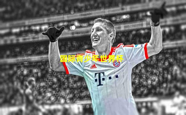 国际青少年世界杯