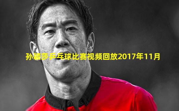 孙颖莎乒乓球比赛视频回放2017年11月