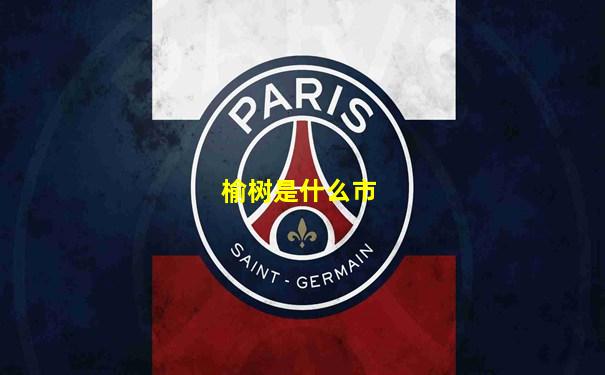 榆树是什么市