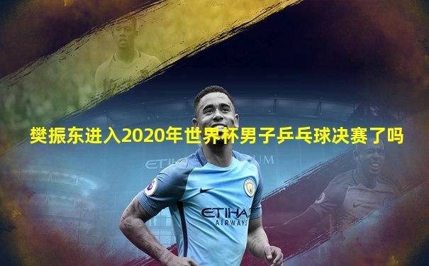 樊振东进入2020年世界杯男子乒乓球决赛了吗