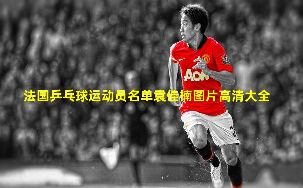 法国乒乓球运动员名单袁佳楠图片高清大全
