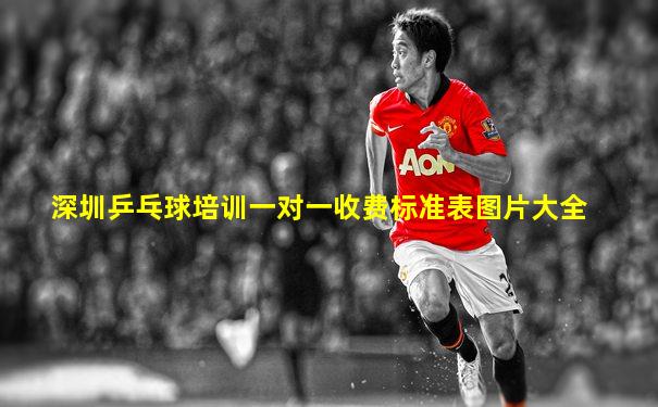 深圳乒乓球培训一对一收费标准表图片大全
