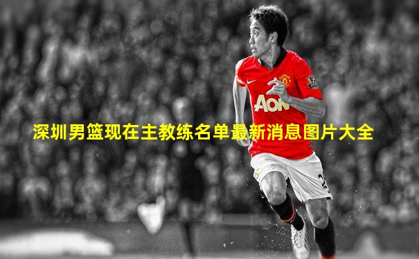 深圳男篮现在主教练名单最新消息图片大全