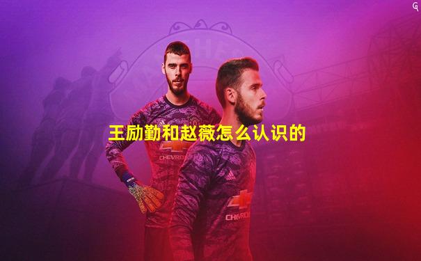王励勤和赵薇怎么认识的