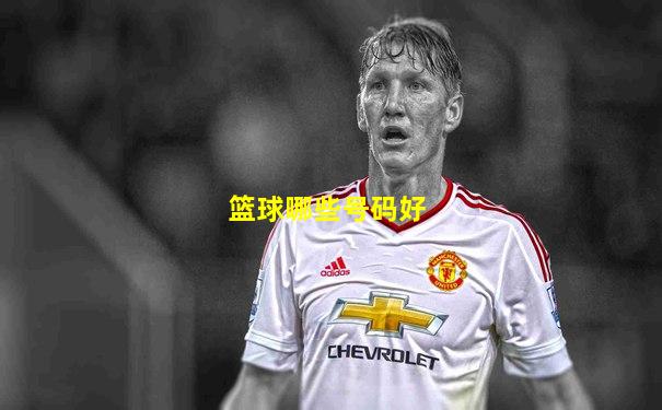 篮球哪些号码好