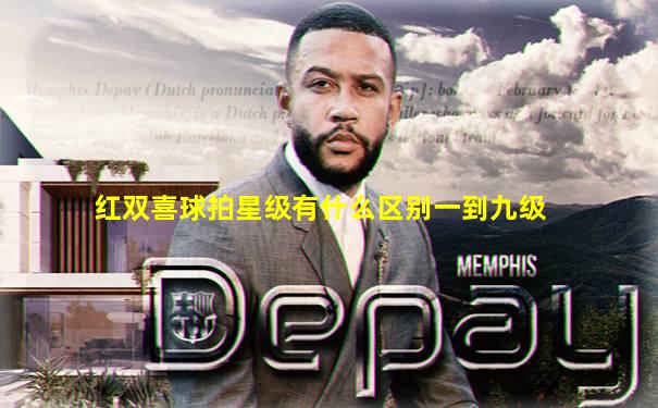 红双喜球拍星级有什么区别一到九级