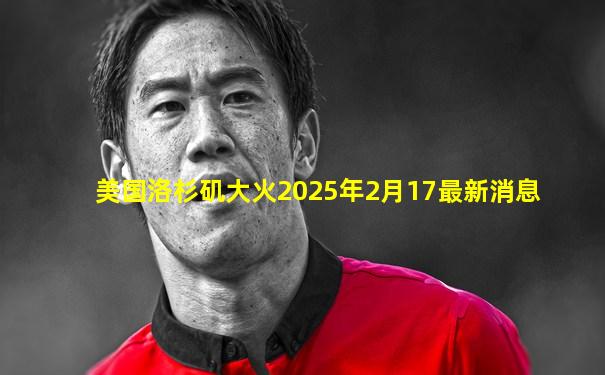 美国洛杉矶大火2025年2月17最新消息