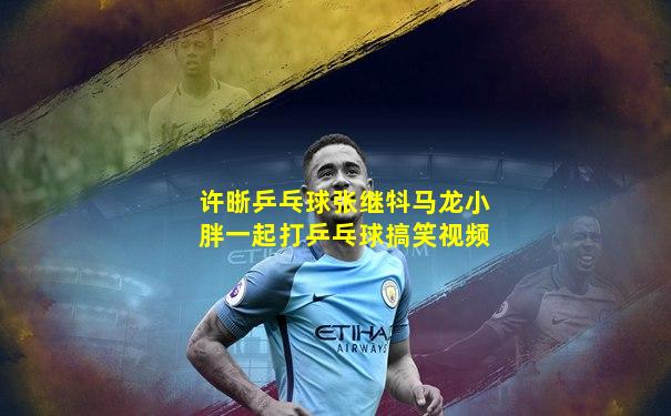 许晣乒乓球张继㸯马龙小胖一起打乒乓球搞笑视频