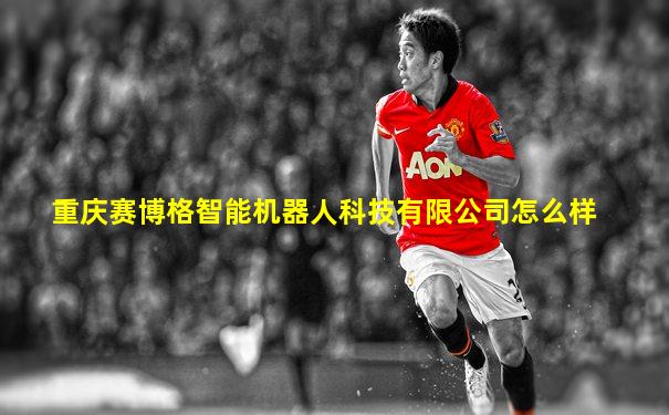 重庆赛博格智能机器人科技有限公司怎么样