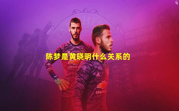 陈梦是黄晓明什么关系的