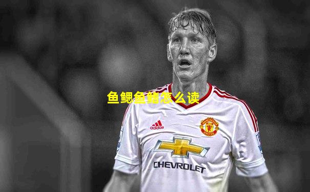 鱼鳃鱼鳍怎么读